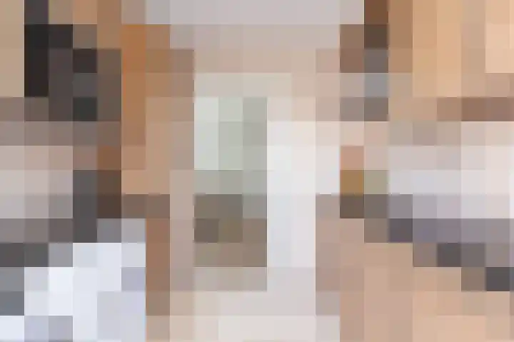 Dokter Pinxterplantsoen 53 Wervershoof thumbnail 18