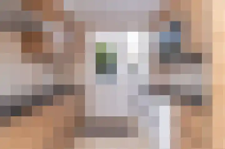 Dokter Pinxterplantsoen 53 Wervershoof thumbnail 19