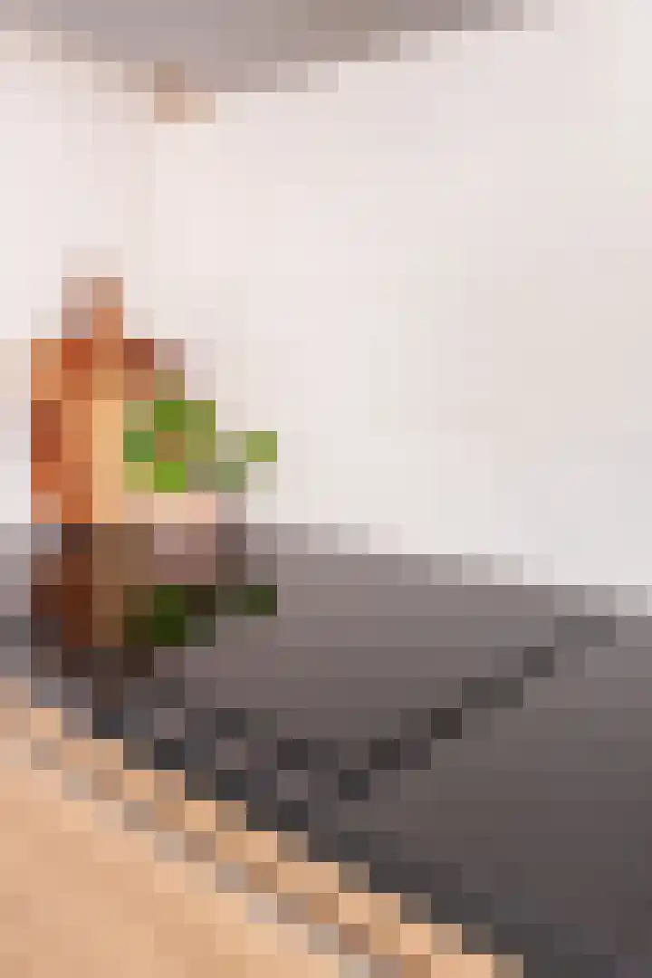 Dokter Pinxterplantsoen 53 Wervershoof thumbnail 20