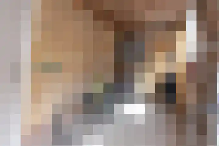 Dokter Pinxterplantsoen 53 Wervershoof thumbnail 27