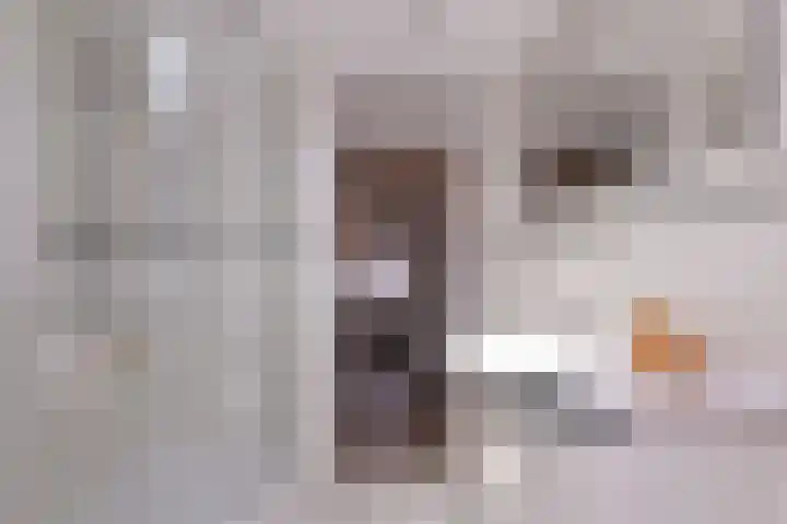 Dokter Pinxterplantsoen 53 Wervershoof thumbnail 30
