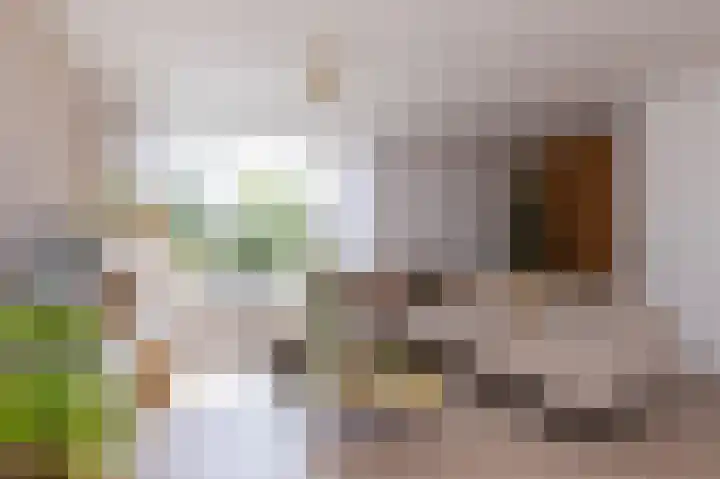 Dokter Pinxterplantsoen 53 Wervershoof thumbnail 4