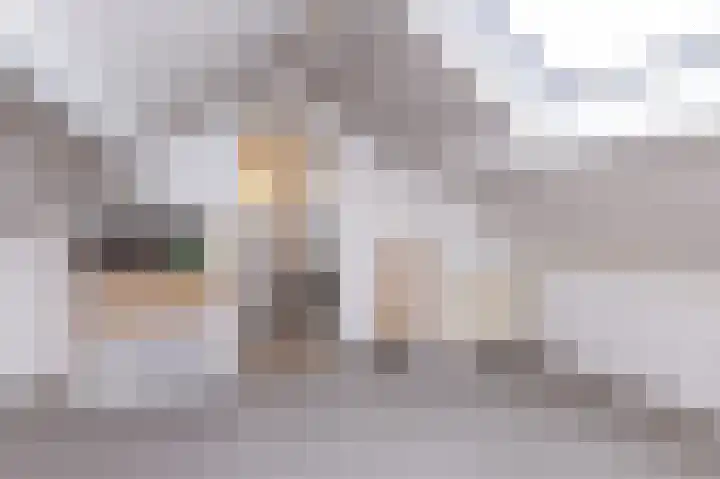 Dokter Pinxterplantsoen 53 Wervershoof thumbnail 40