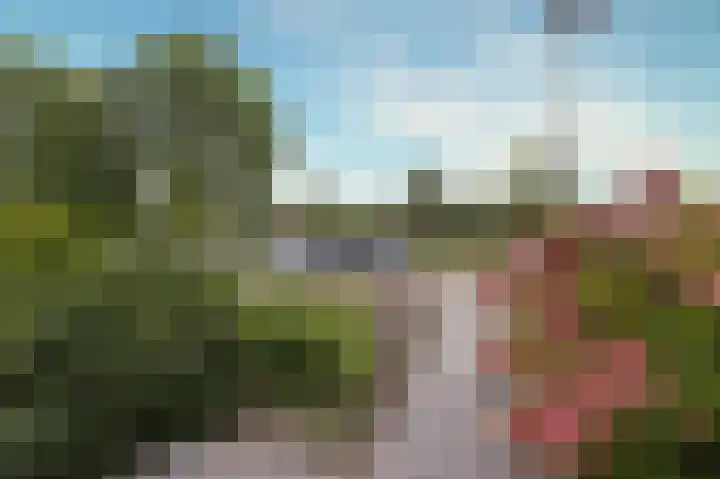 Dokter Pinxterplantsoen 53 Wervershoof thumbnail 43