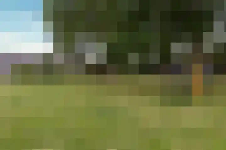 Dokter Pinxterplantsoen 53 Wervershoof thumbnail 49