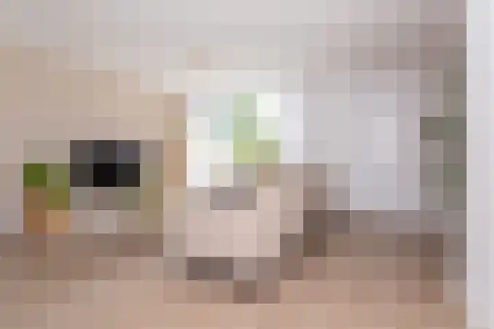Dokter Pinxterplantsoen 53 Wervershoof thumbnail 5