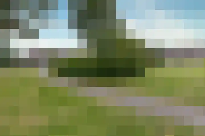 Dokter Pinxterplantsoen 53 Wervershoof thumbnail 51