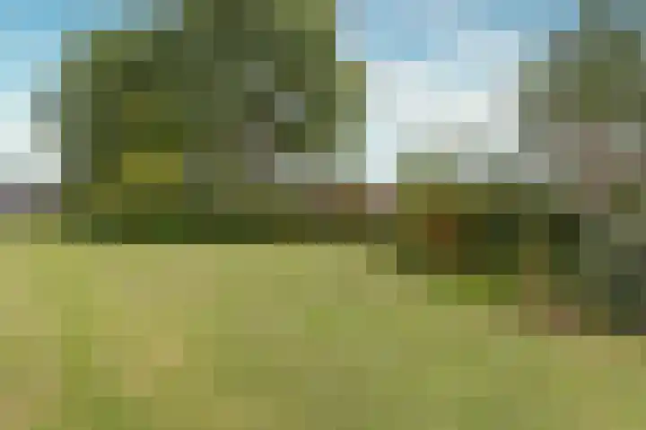 Dokter Pinxterplantsoen 53 Wervershoof thumbnail 52