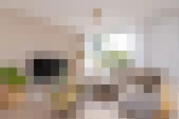 Dokter Pinxterplantsoen 53 Wervershoof thumbnail 6