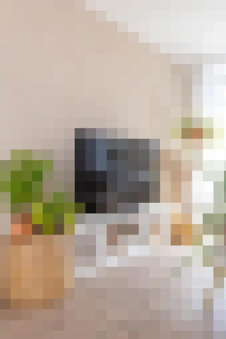 Dokter Pinxterplantsoen 53 Wervershoof thumbnail 7