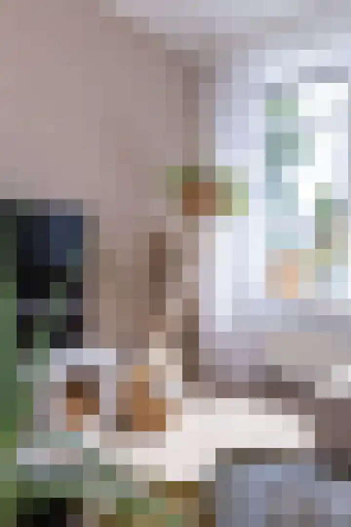 Dokter Pinxterplantsoen 53 Wervershoof thumbnail 8