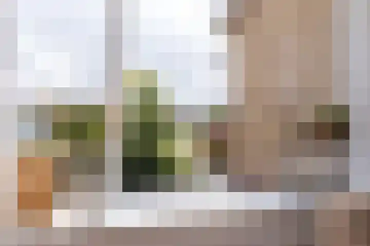 Dokter Pinxterplantsoen 53 Wervershoof thumbnail 9