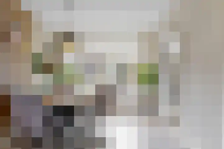 Dokter Pinxterplantsoen 59 Wervershoof thumbnail 13