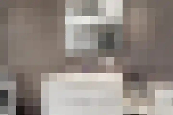 Dokter Pinxterplantsoen 59 Wervershoof thumbnail 24