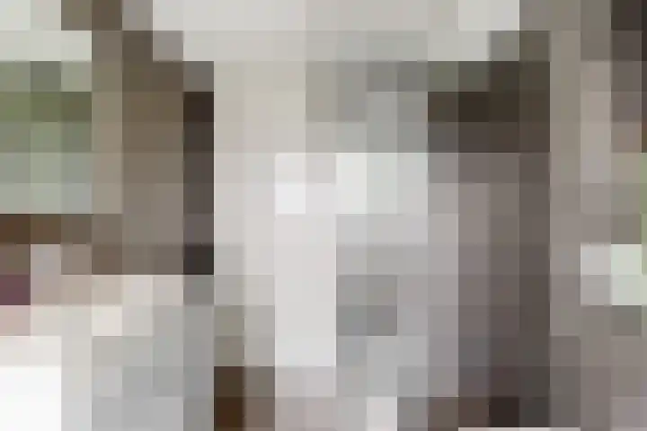 Dokter Pinxterplantsoen 59 Wervershoof thumbnail 25