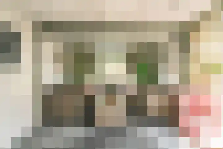 Dokter Pinxterplantsoen 59 Wervershoof thumbnail 29