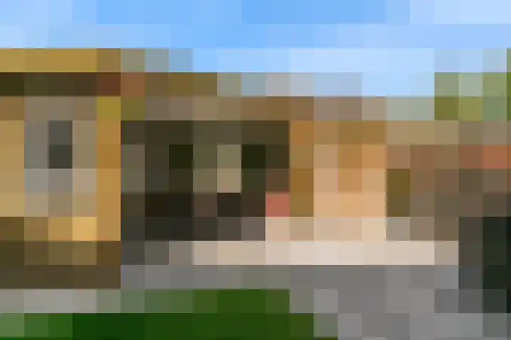 Dokter Pinxterplantsoen 59 Wervershoof thumbnail 33