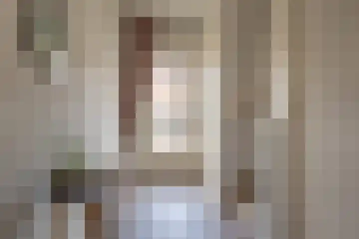 Dokter Plaslaan 17 Ammerzoden thumbnail 10