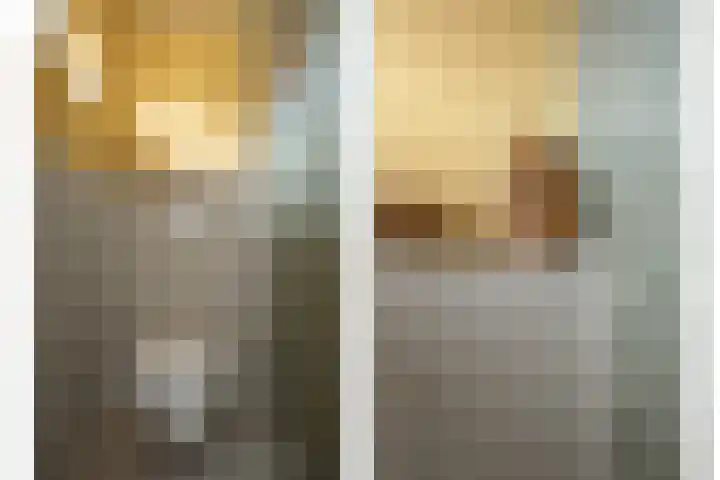 Dokter Plaslaan 17 Ammerzoden thumbnail 11