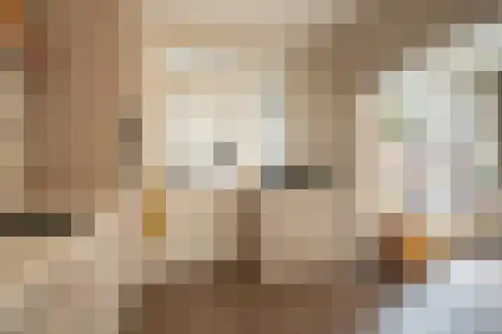Dokter Plaslaan 17 Ammerzoden thumbnail 12