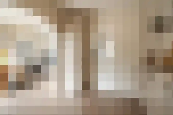 Dokter Plaslaan 17 Ammerzoden thumbnail 13
