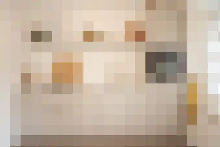 Dokter Plaslaan 17 Ammerzoden thumbnail 14