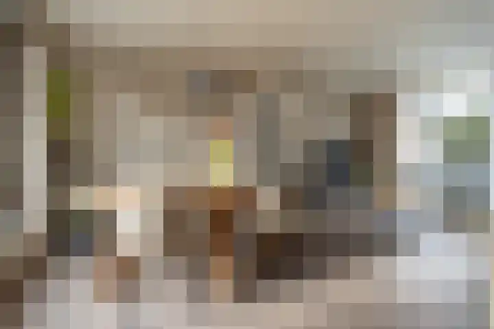 Dokter Plaslaan 17 Ammerzoden thumbnail 15