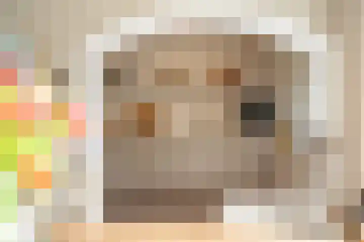 Dokter Plaslaan 17 Ammerzoden thumbnail 16