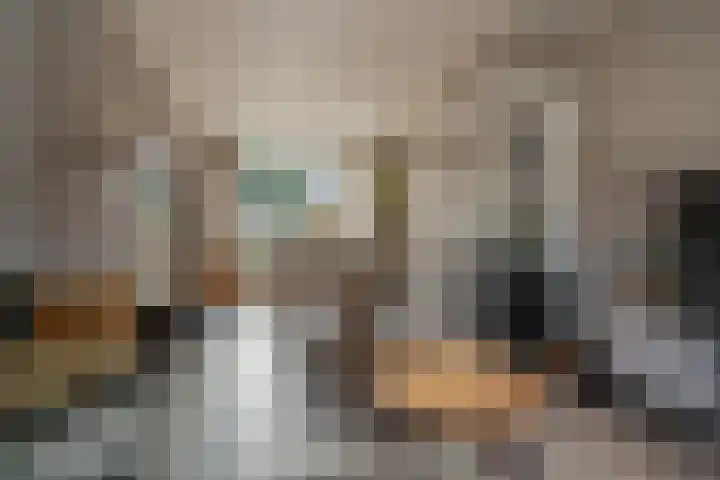 Dokter Plaslaan 17 Ammerzoden thumbnail 18