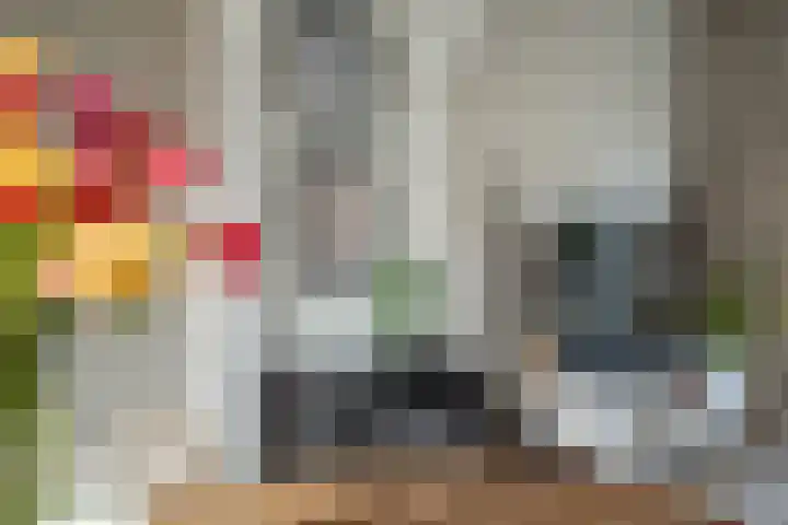 Dokter Plaslaan 17 Ammerzoden thumbnail 19