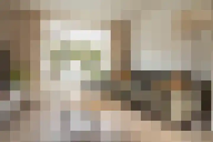 Dokter Plaslaan 17 Ammerzoden thumbnail 20