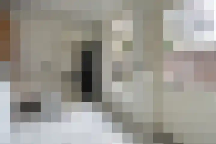 Dokter Plaslaan 17 Ammerzoden thumbnail 21