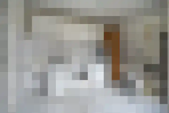 Dokter Plaslaan 17 Ammerzoden thumbnail 22