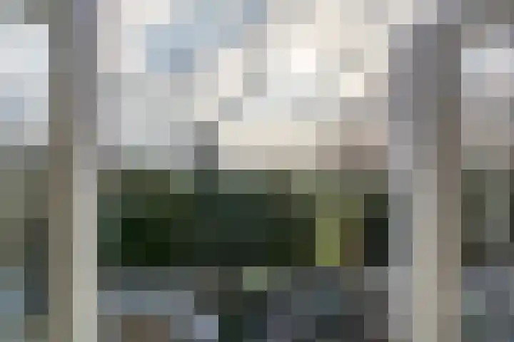 Dokter Plaslaan 17 Ammerzoden thumbnail 25