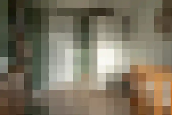 Dokter Plaslaan 17 Ammerzoden thumbnail 27
