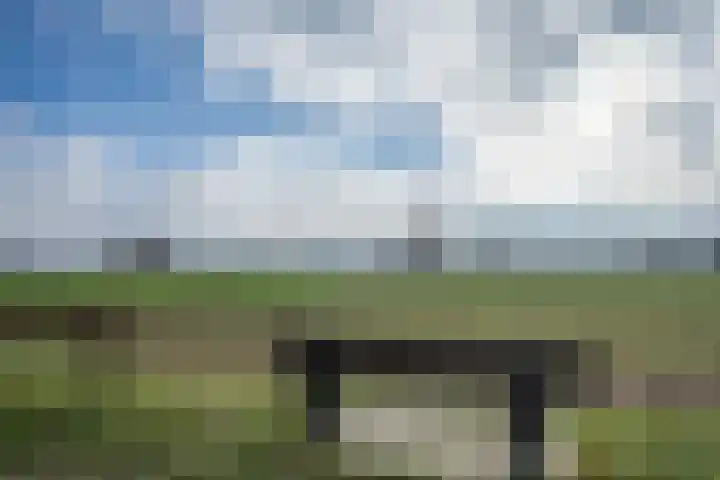 Dokter Plaslaan 17 Ammerzoden thumbnail 33