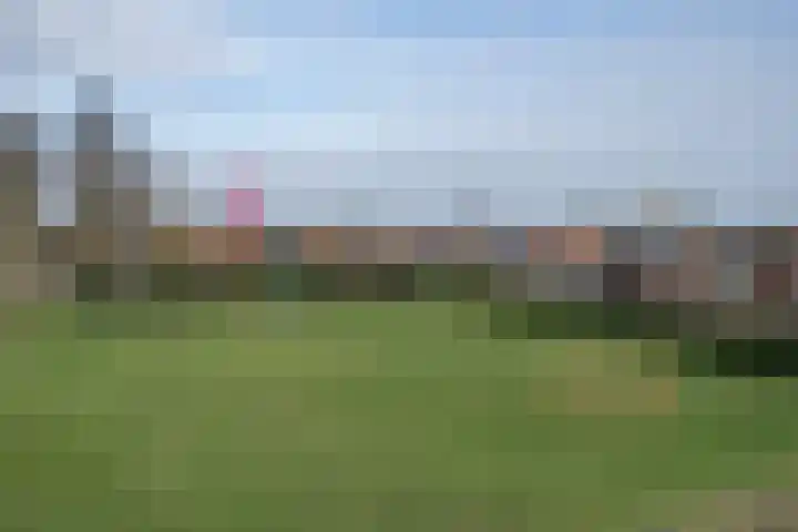 Dokter Plaslaan 17 Ammerzoden thumbnail 34