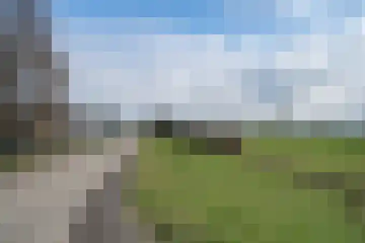 Dokter Plaslaan 17 Ammerzoden thumbnail 35