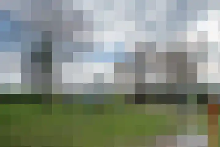 Dokter Plaslaan 17 Ammerzoden thumbnail 36