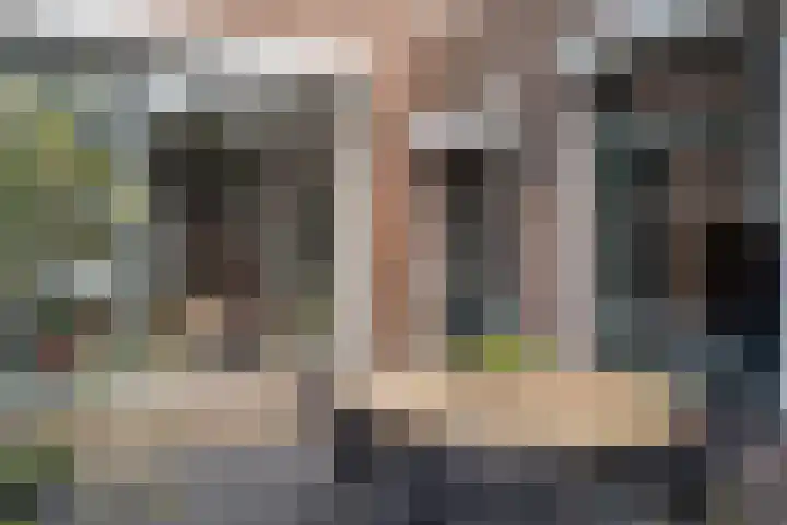 Dokter Plaslaan 17 Ammerzoden thumbnail 4