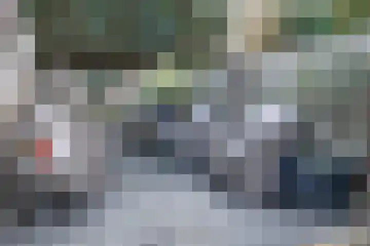 Dokter Plaslaan 17 Ammerzoden thumbnail 5