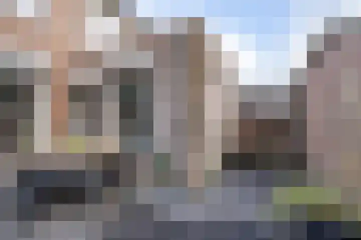 Dokter Plaslaan 17 Ammerzoden thumbnail 6