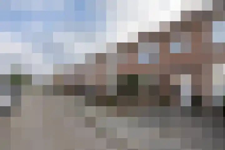 Dokter Plaslaan 17 Ammerzoden thumbnail 7