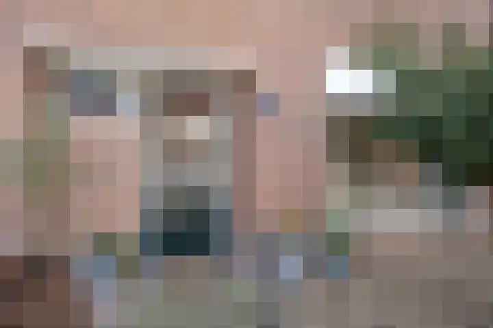 Dokter Plaslaan 17 Ammerzoden thumbnail 8