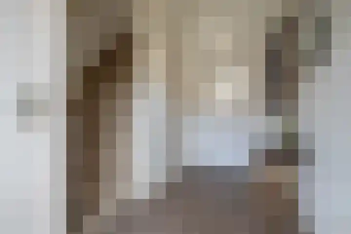 Dokter Plaslaan 17 Ammerzoden thumbnail 9