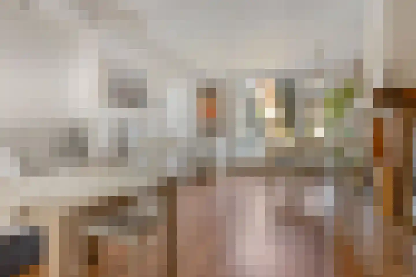Dokter Plaslaan 24 Ammerzoden thumbnail 10