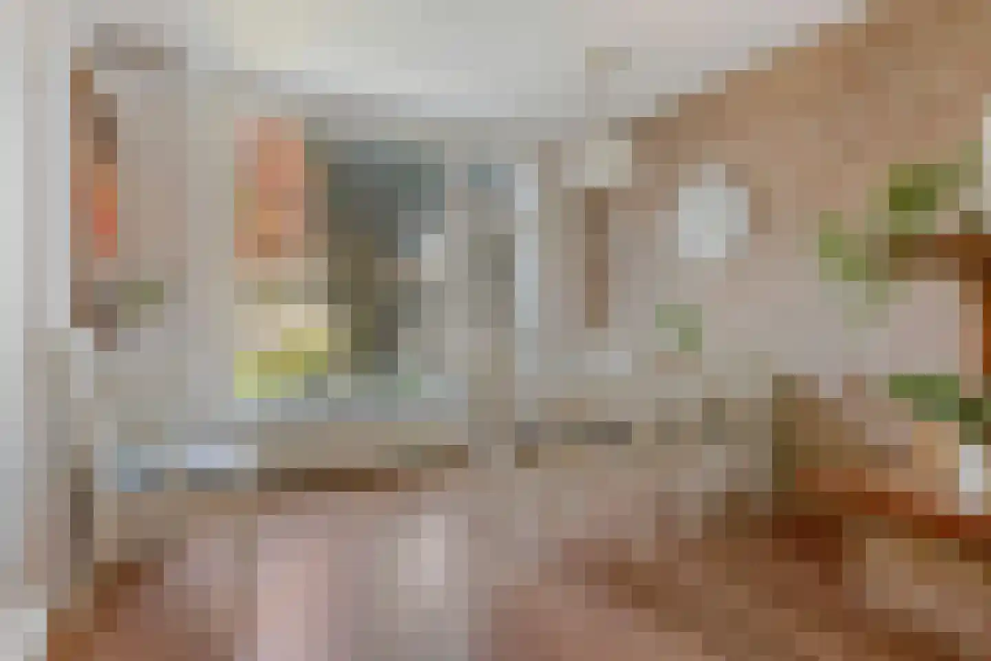 Dokter Plaslaan 24 Ammerzoden thumbnail 11