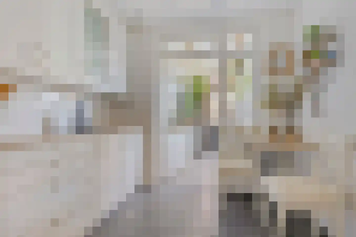 Dokter Plaslaan 24 Ammerzoden thumbnail 12