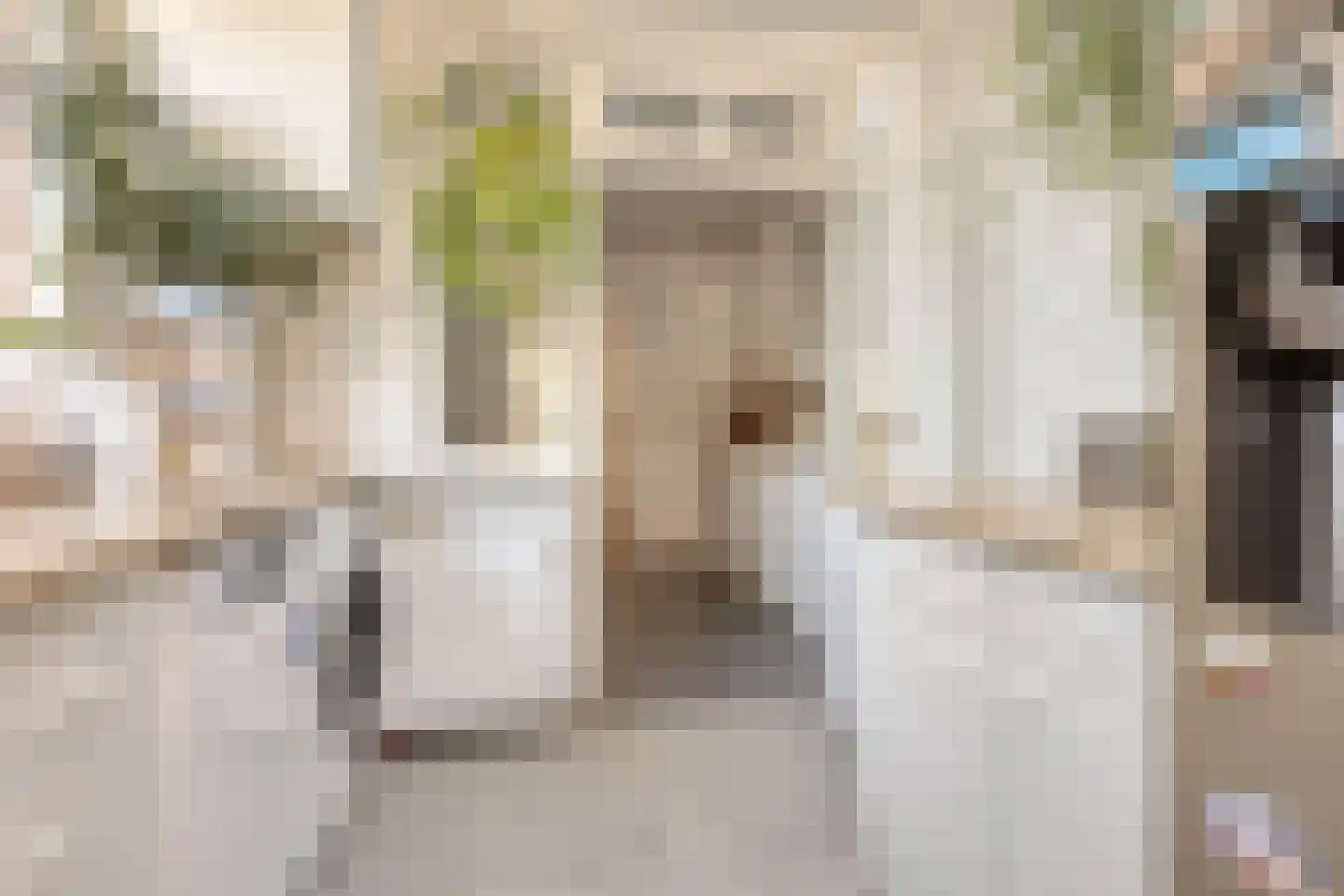 Dokter Plaslaan 24 Ammerzoden thumbnail 16