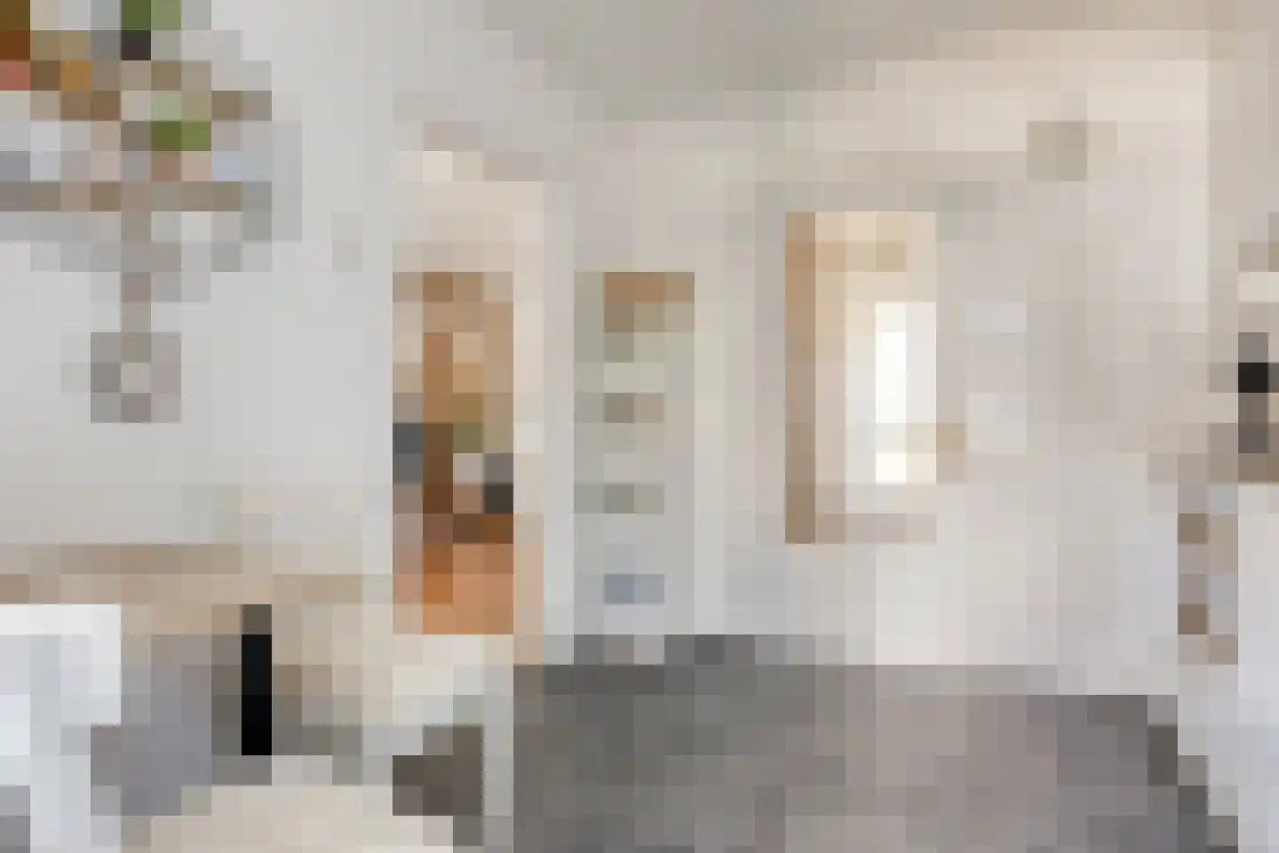 Dokter Plaslaan 24 Ammerzoden thumbnail 17